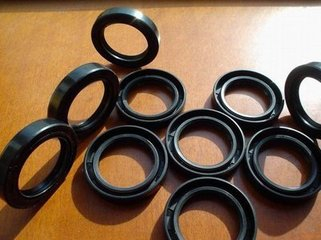 U型内骨架油封