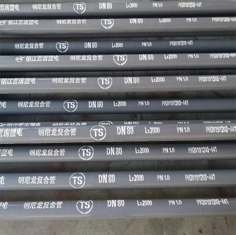 钢尼龙复合管DN80